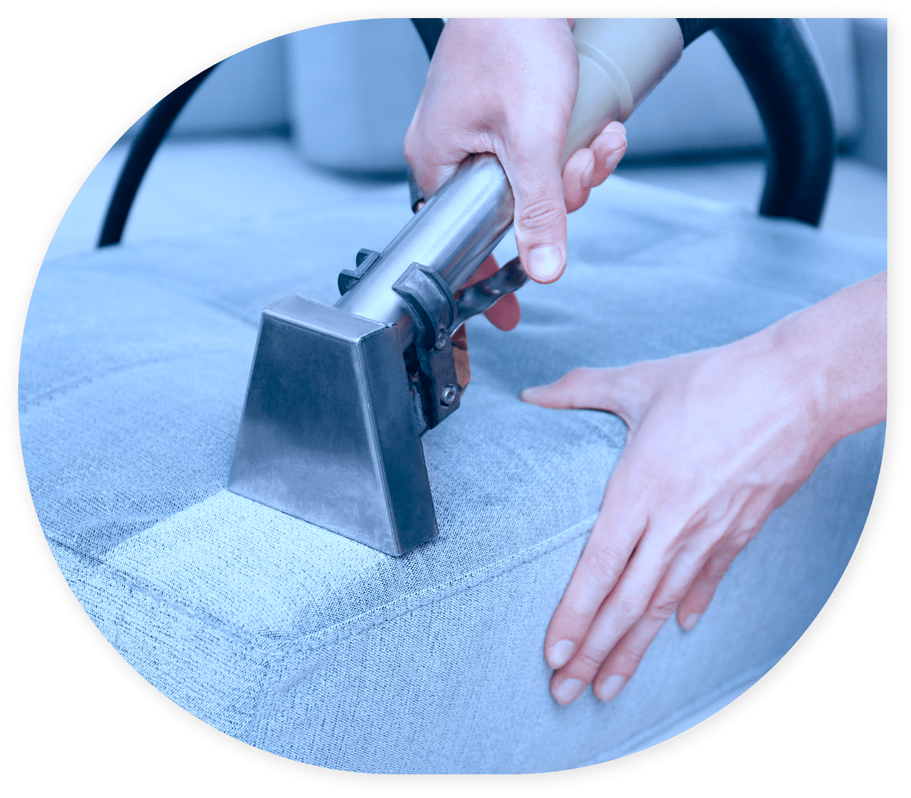 Professional Upholstery Cleaning Upholstery Cleaning Near Me