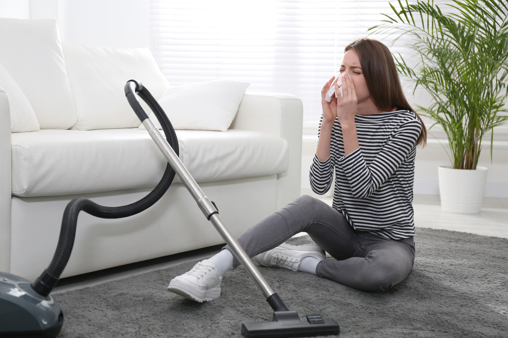 Carpet DryClean Raleigh Carpet Cleaning Services