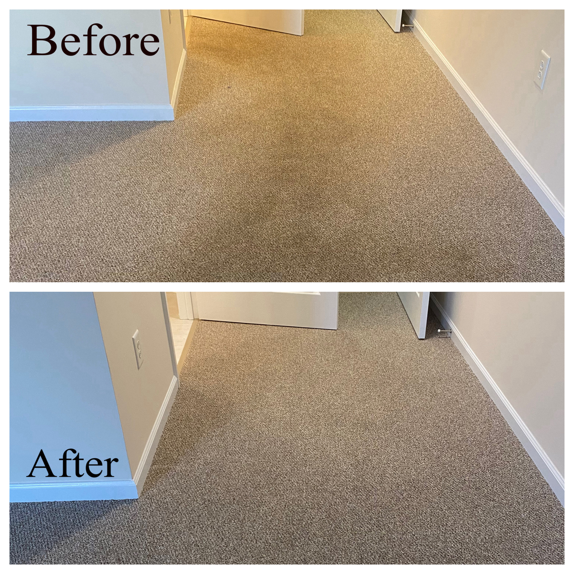 Carpet DryClean Raleigh Carpet Cleaning Services