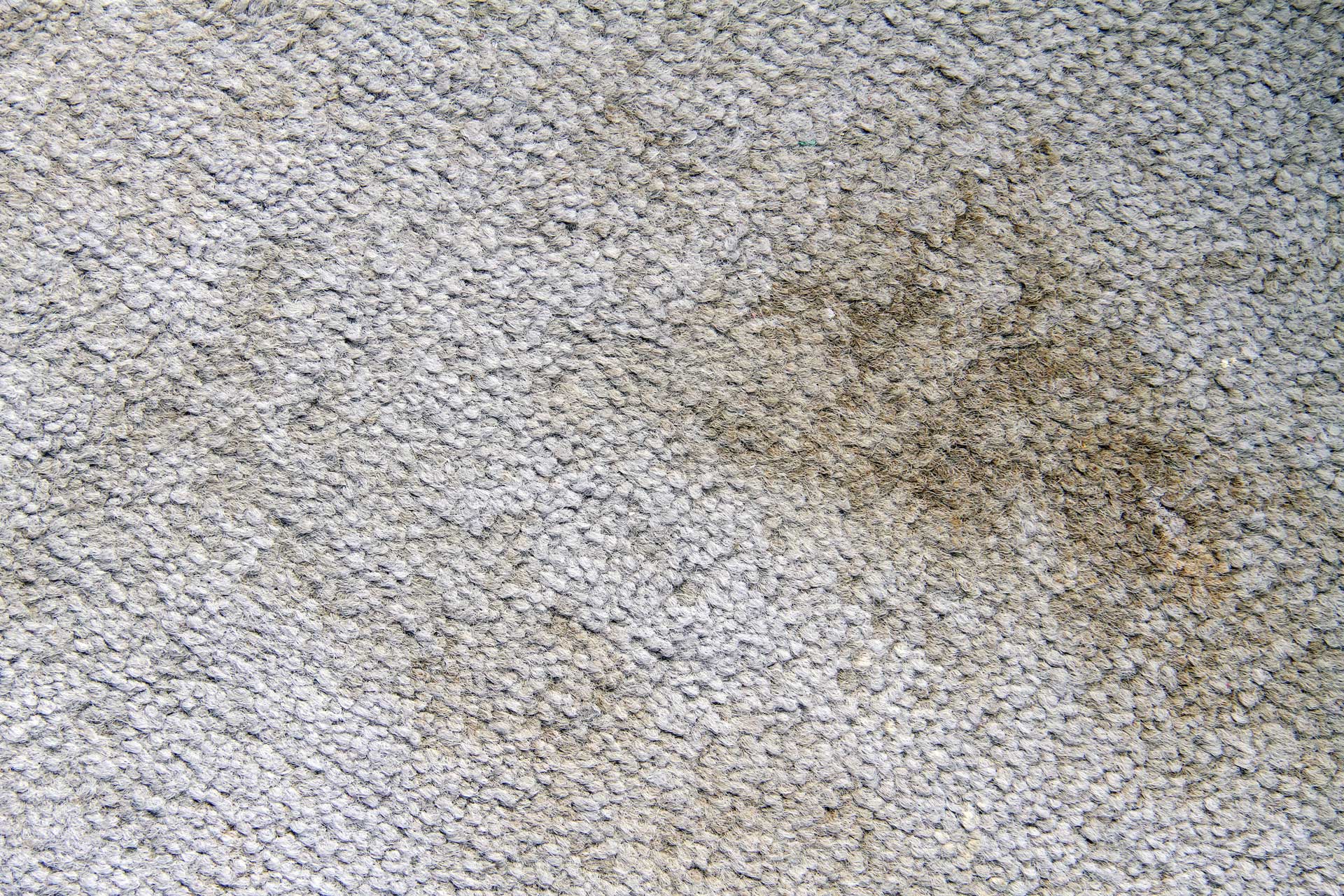 Odor Removal from Carpets, Rugs, and Upholstery Carpet Keepers