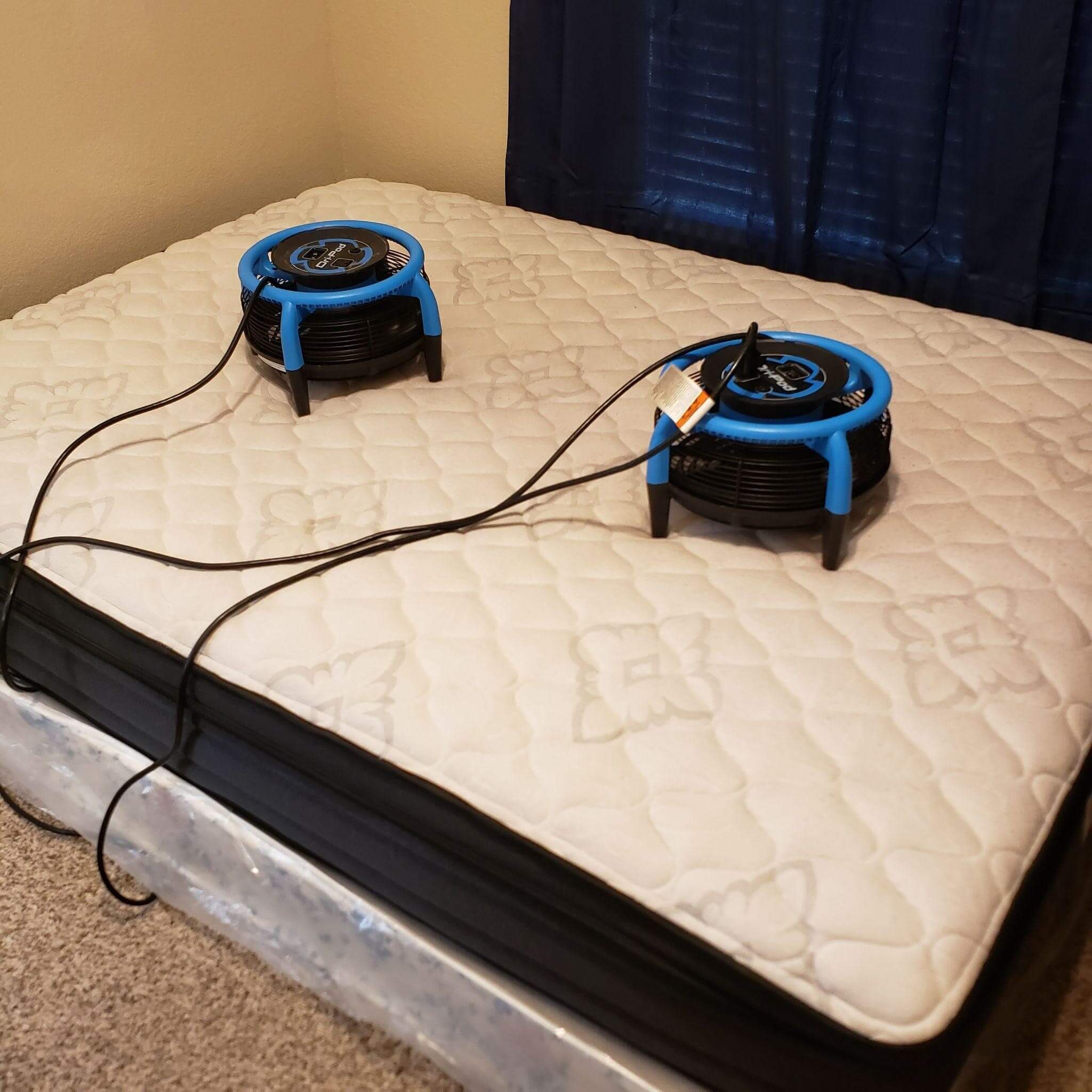 Professional Carpet Cleaning Las Vegas Carpet Killers