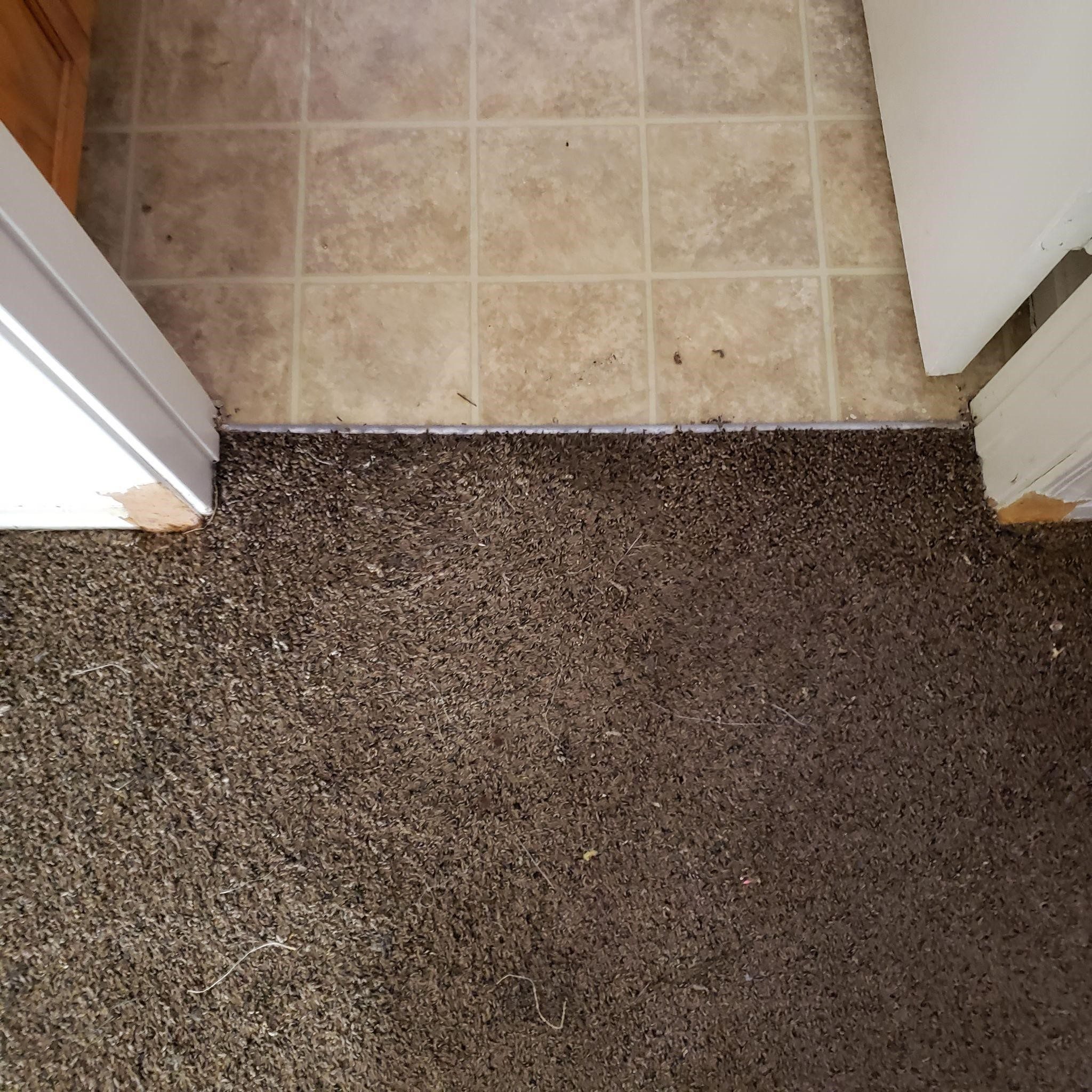 We Fix Carpet?Carpet Repair Las VegasCall Now 702 666 5071
