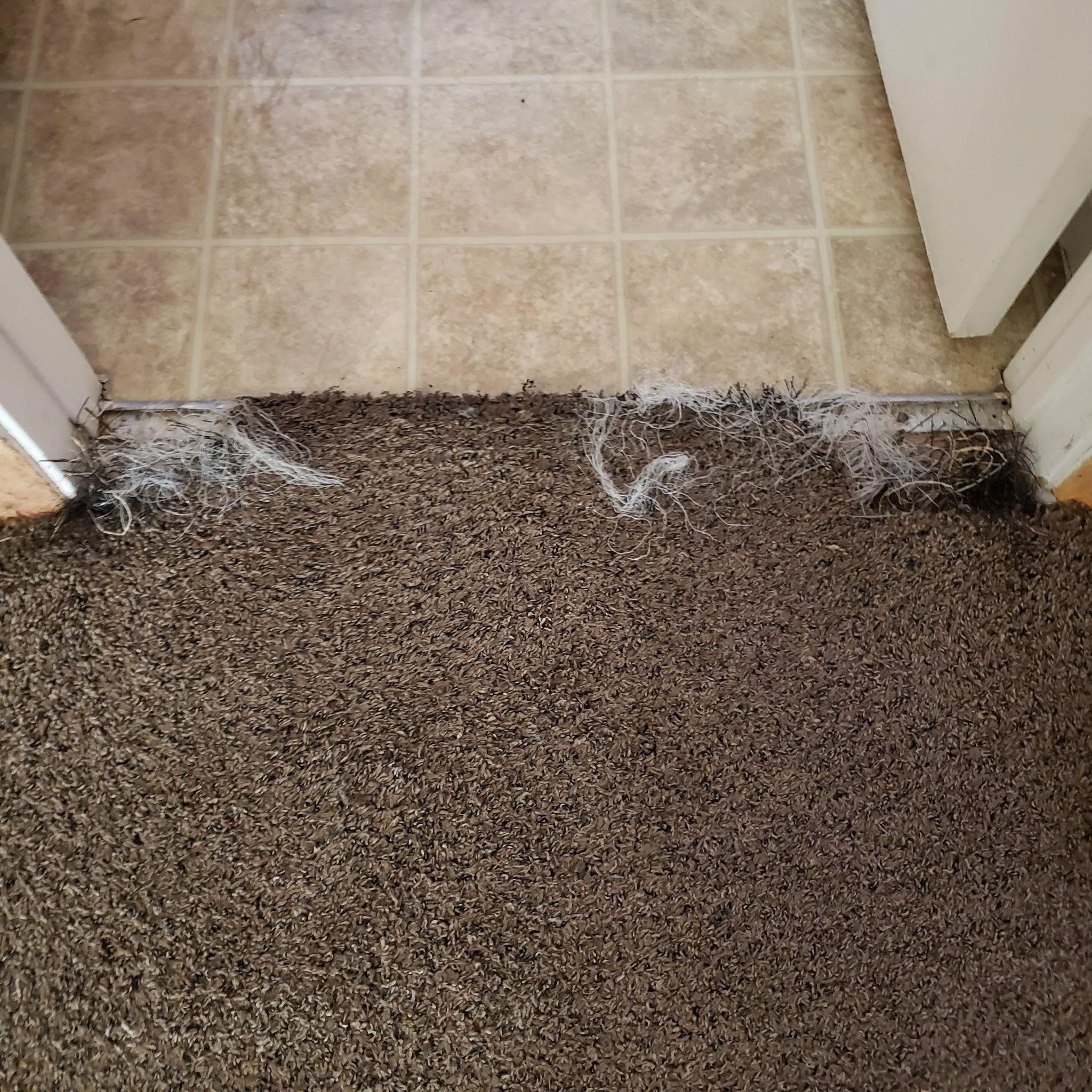 We Fix Carpet?Carpet Repair Las VegasCall Now 702 666 5071