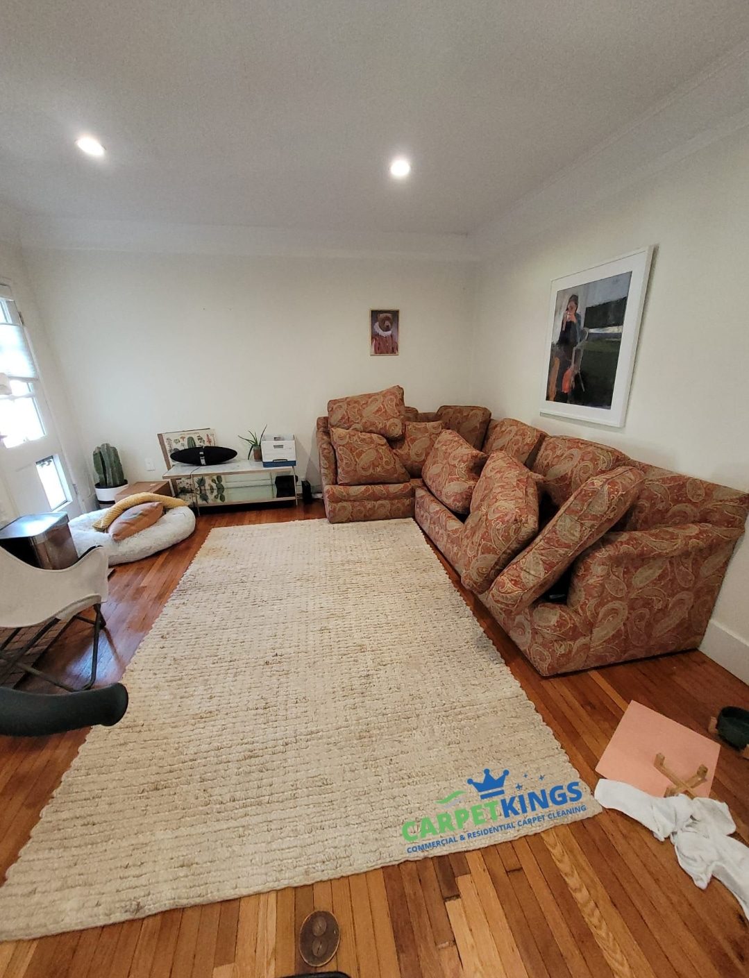 Professional Rug/Carpet Cleaning Irvine CA Top Service