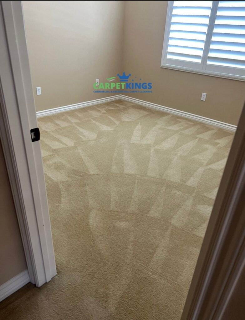 Professional Top Carpet Cleaner Irvine CA Cleaning Services