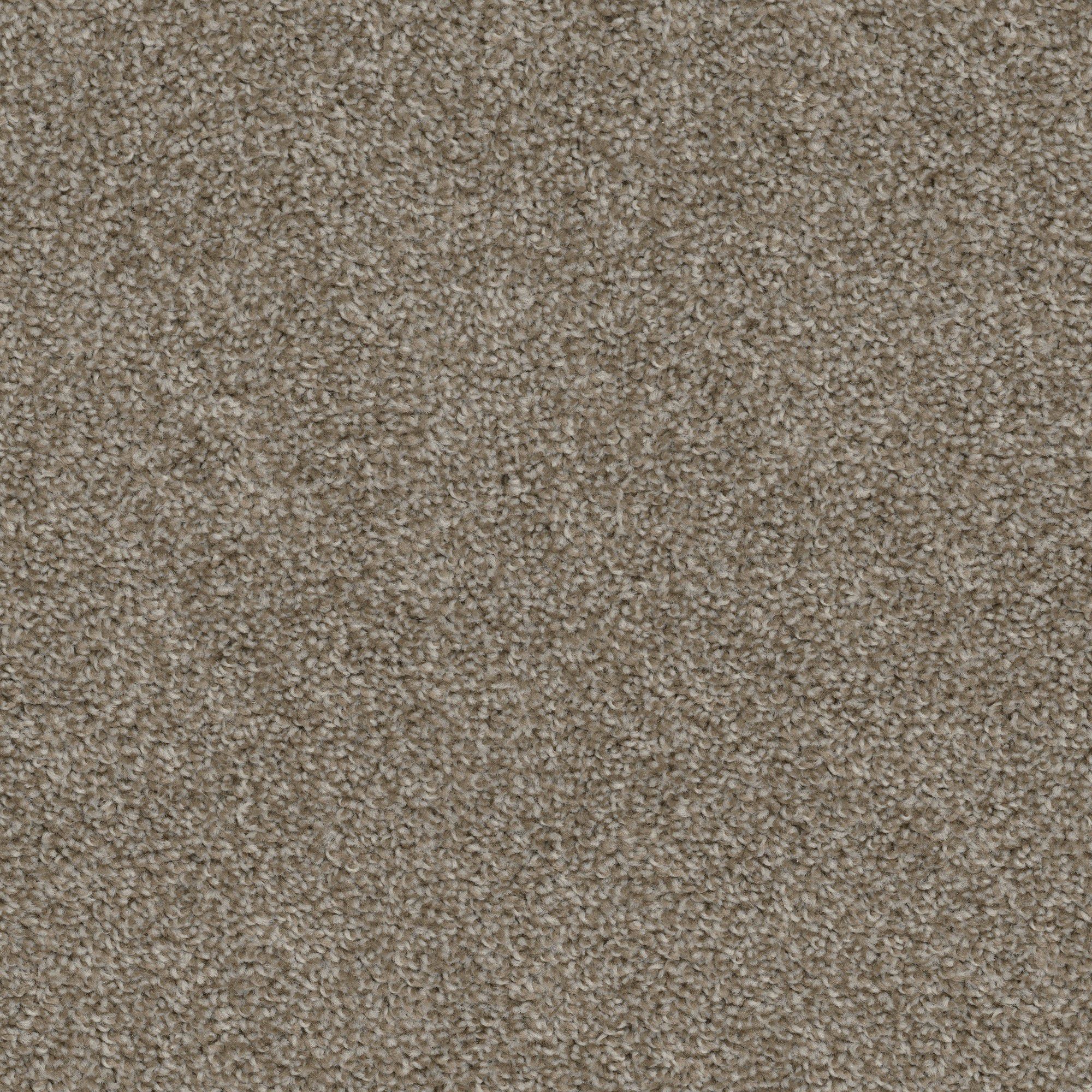 Level 1 Top Gun Carpet Now