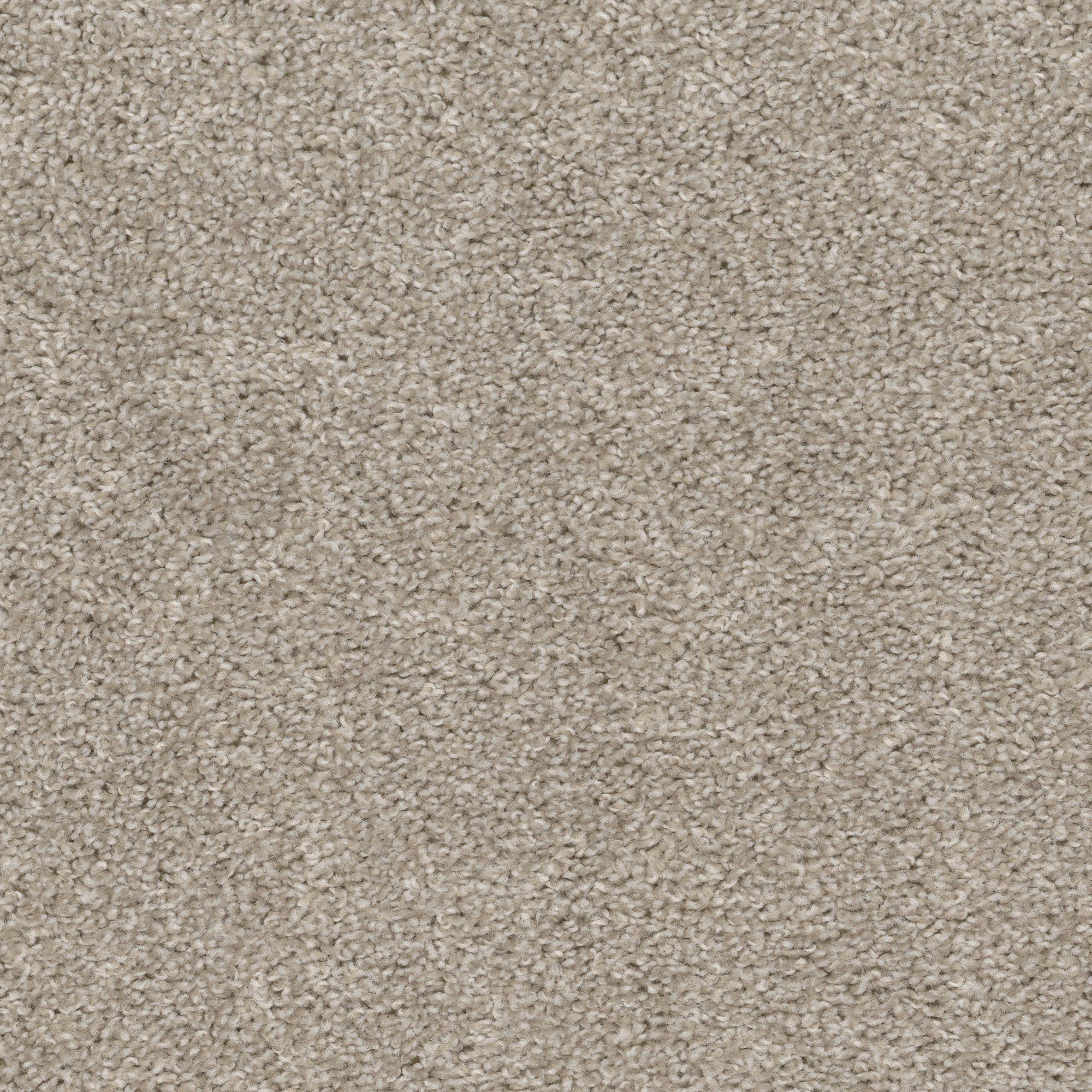 Level 1 Top Gun Carpet Now