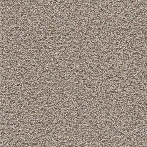 Level 1 Geelong Carpet Now