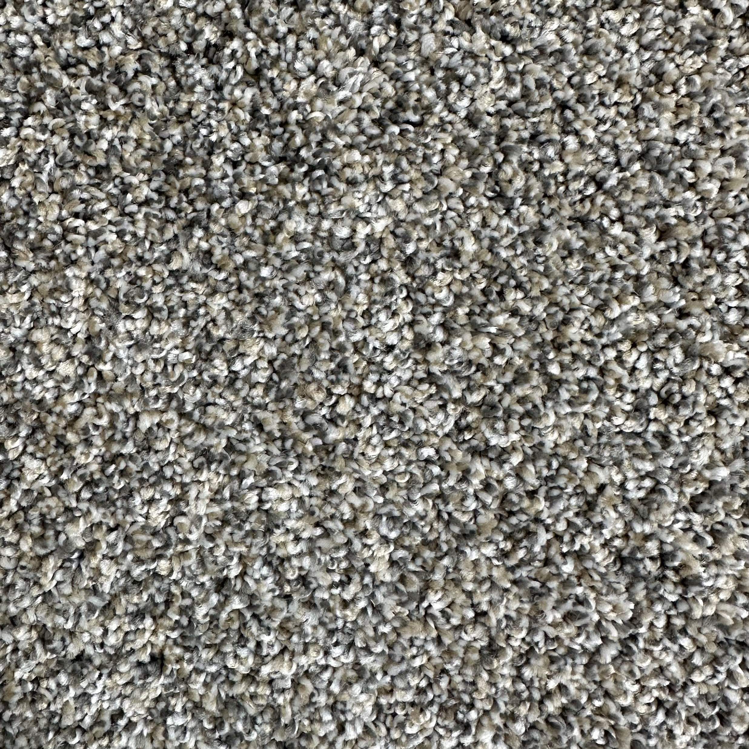 Level 3 Gladstone Carpet Now