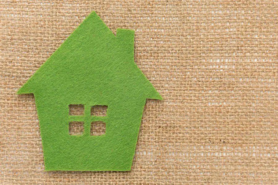 Sustainable Comfort EcoFriendly Carpet Choices for a Greener Home