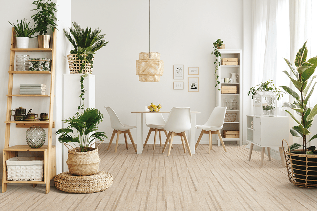 Keeping Your Wood Floors Beautiful Carpet Plus Flooring Store in Charlottesville VA Carpet