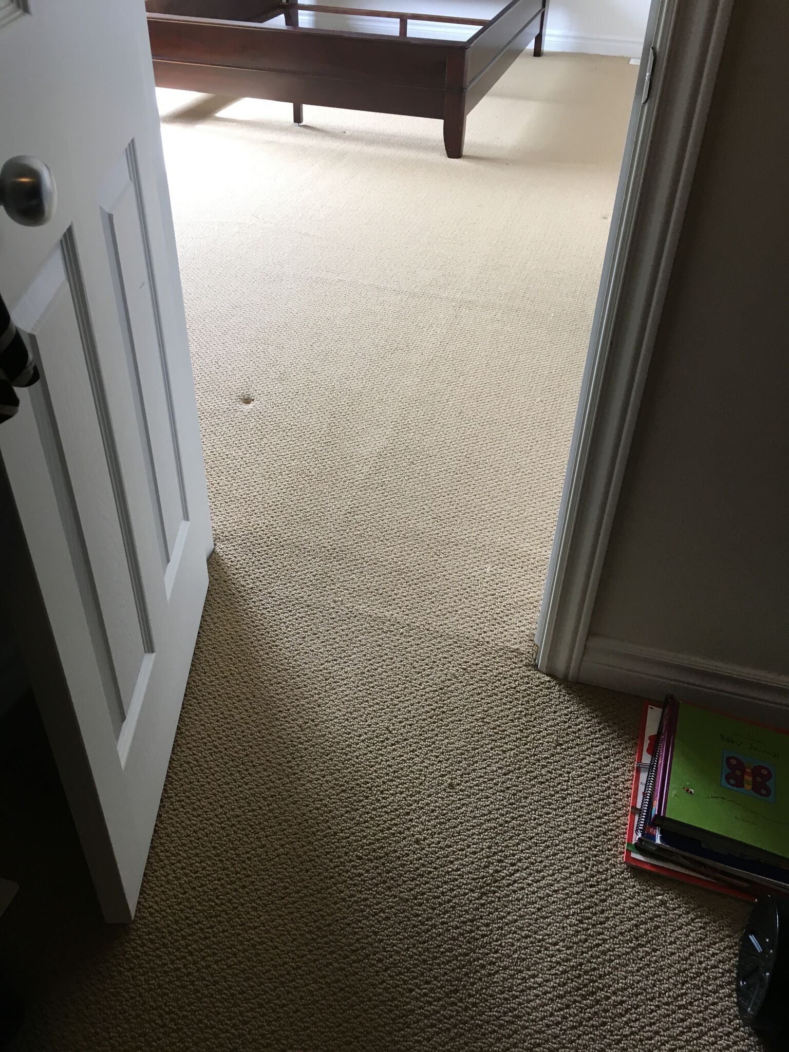 Why Carpet needs Stretching Niagara Carpet Repair Services