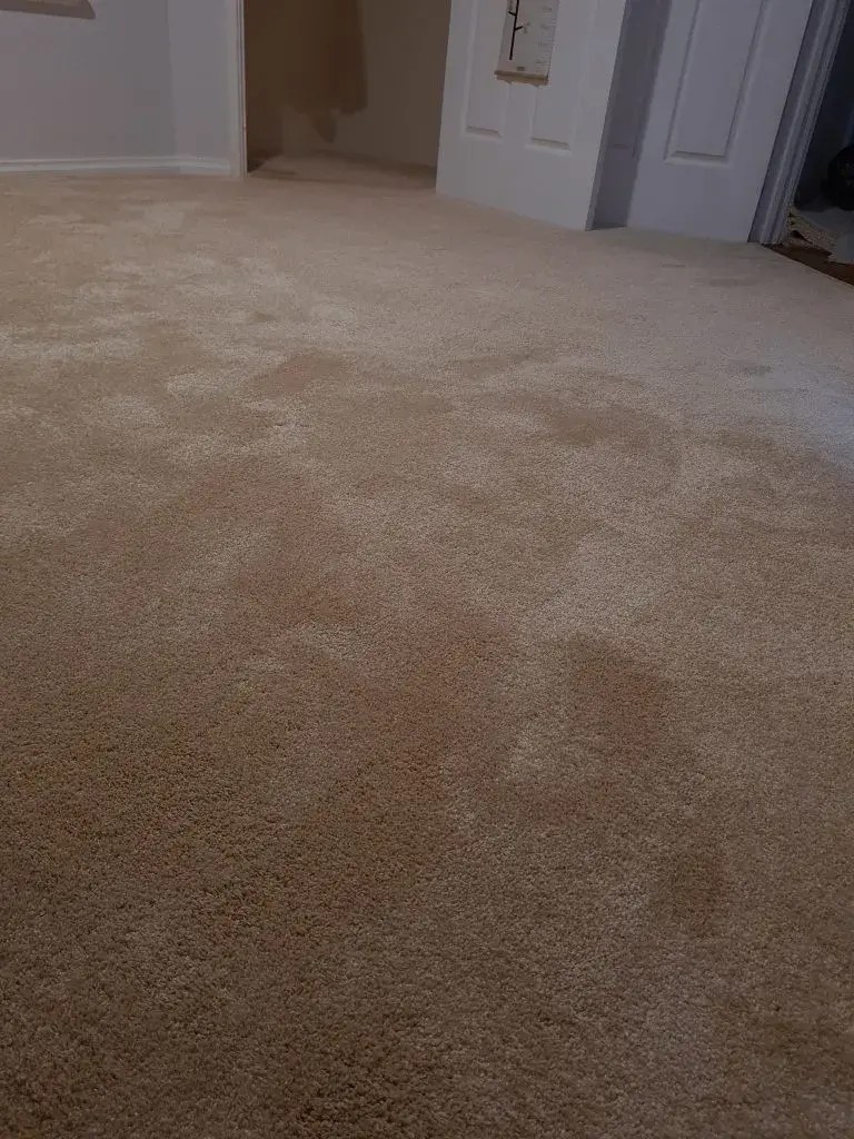 New carpet installation Carpet Repairs Perth