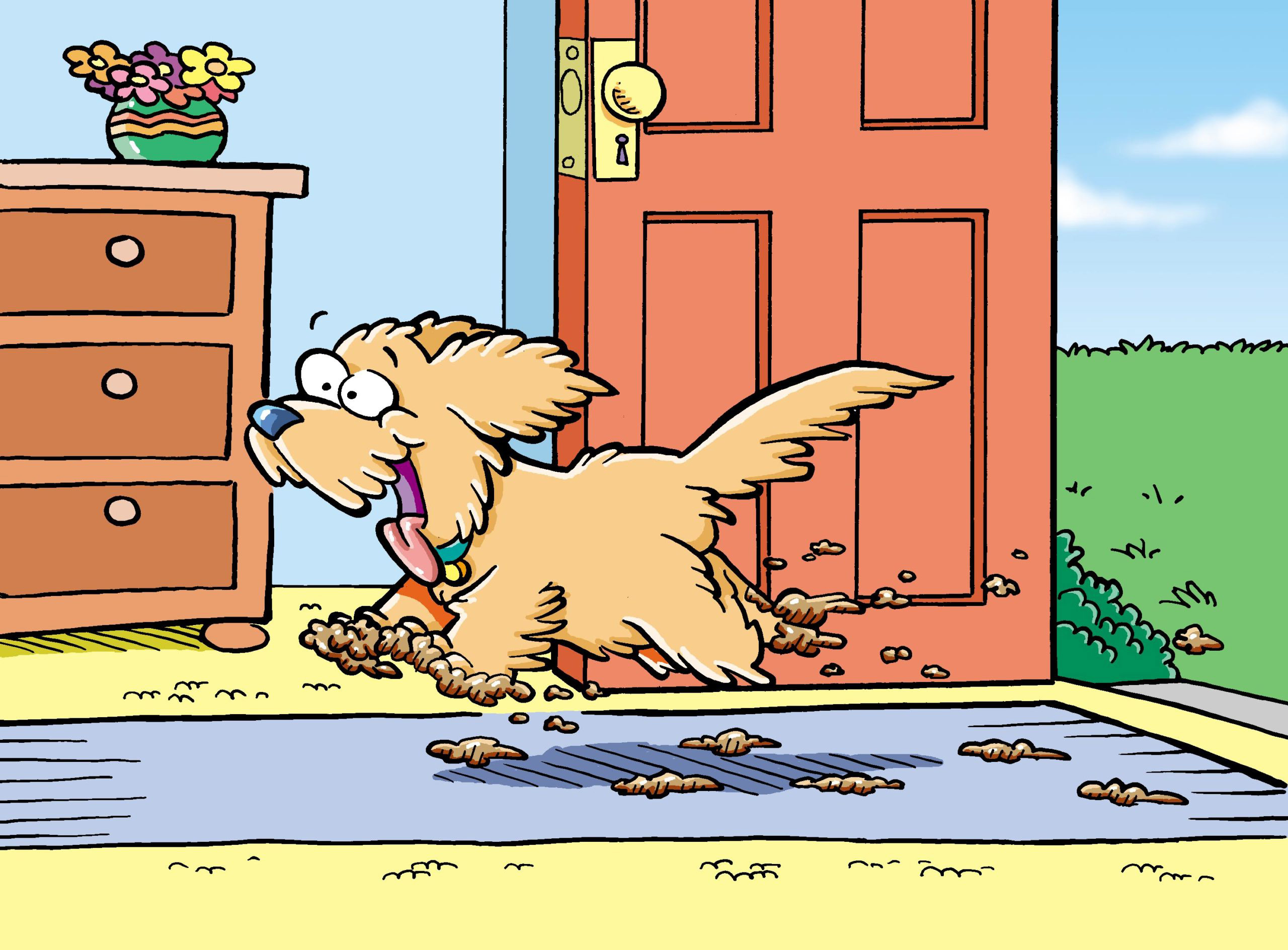 Pet Carpet Protector CarpetSaver