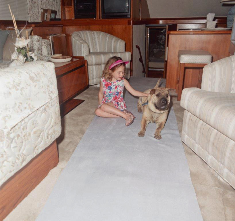 Pet Carpet Protector CarpetSaver