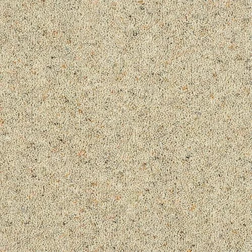 Charter Berber Deluxe. Wilton Royal The Carpet Shop