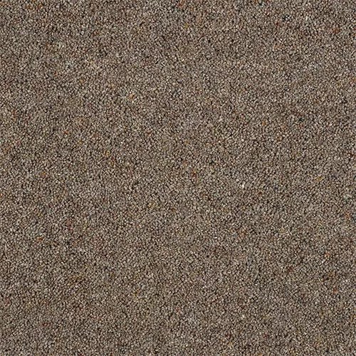 Charter Berber Deluxe. Wilton Royal The Carpet Shop