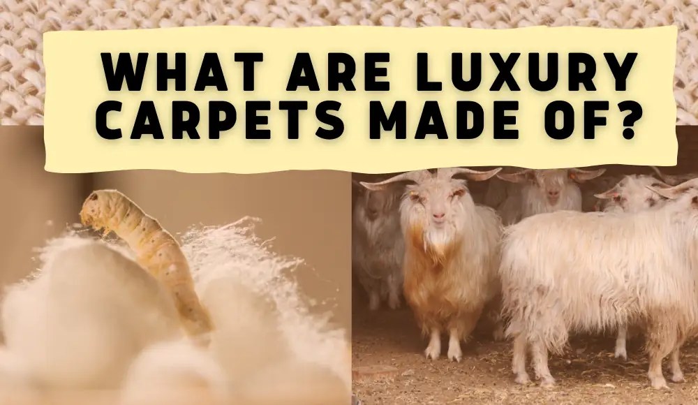 What are luxury carpets made of? CarpetsMatter