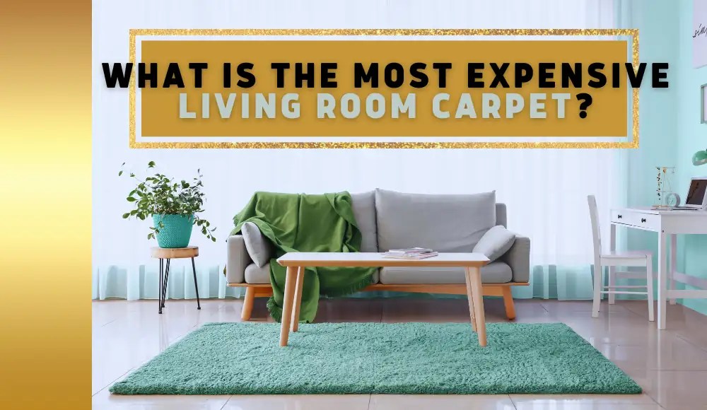 What is the Most Expensive Living Room Carpet? CarpetsMatter