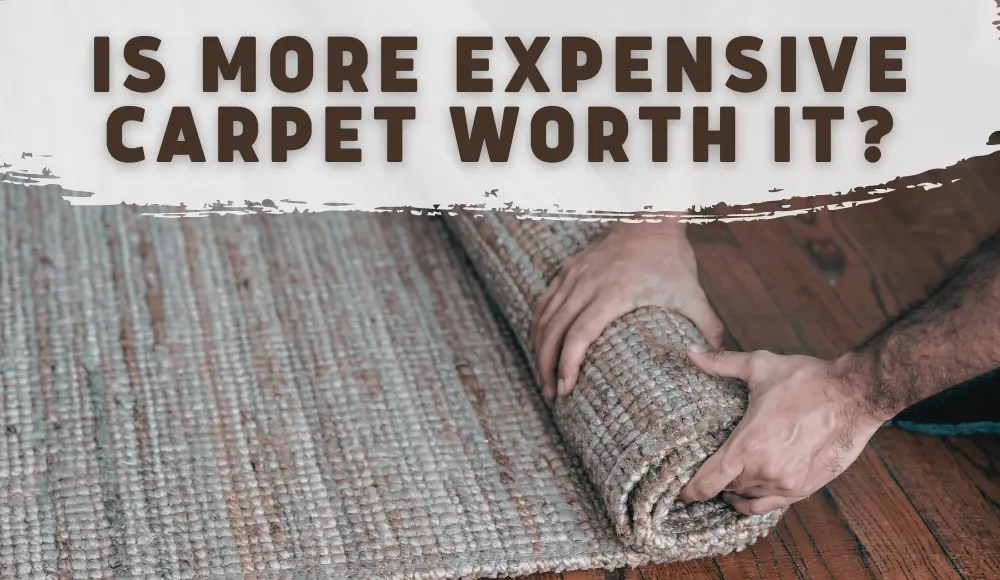 Is More Expensive Carpet Worth It? [Reddit Opinions] CarpetsMatter
