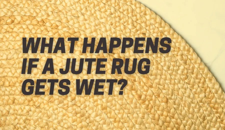 What Happens if a Jute Rug Gets Wet [Reddit Advice] CarpetsMatter