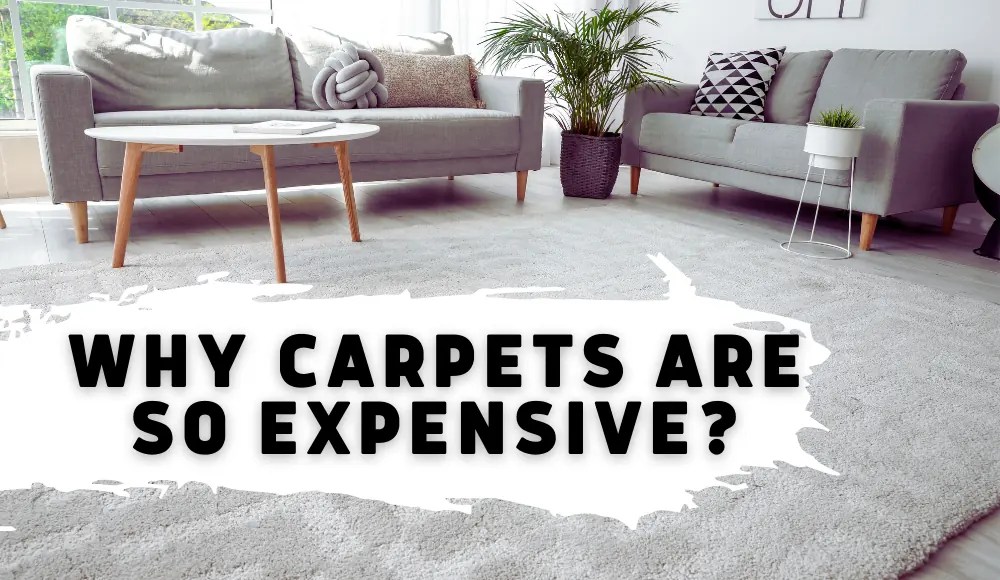 Why Carpets are so Expensive? Unraveling the Enigma CarpetsMatter