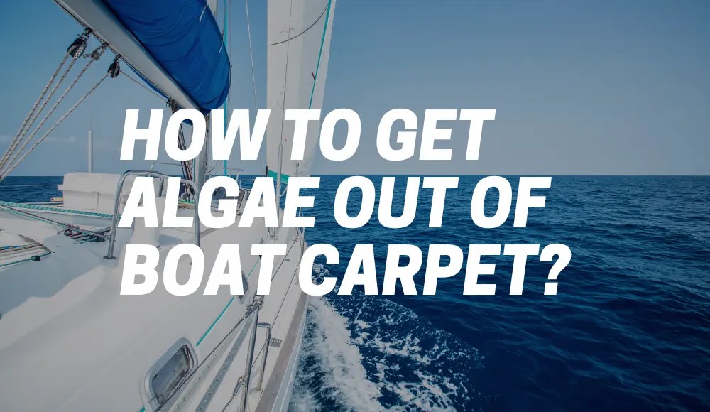 How to Get Algae Out of Boat Carpet? CarpetsMatter