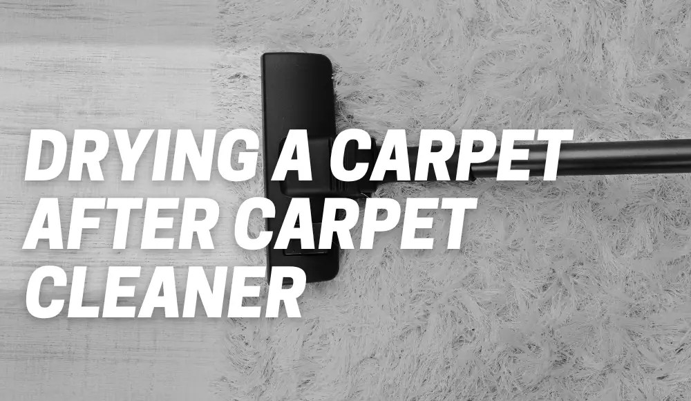 How Do You Dry A Carpet After Using A Carpet Cleaner? CarpetsMatter