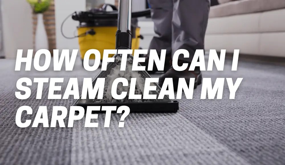 How Many Times Can You Steam Clean Your Carpet? CarpetsMatter