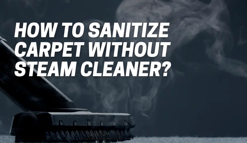 How To Sanitize Carpet Without Steam Cleaner? CarpetsMatter
