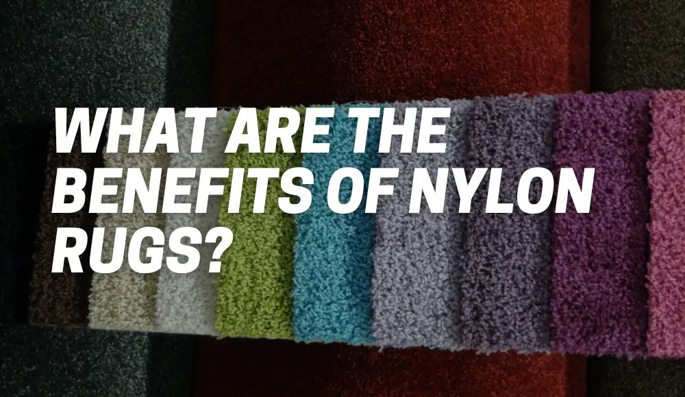 What Are The Benefits Of Nylon Rugs? CarpetsMatter