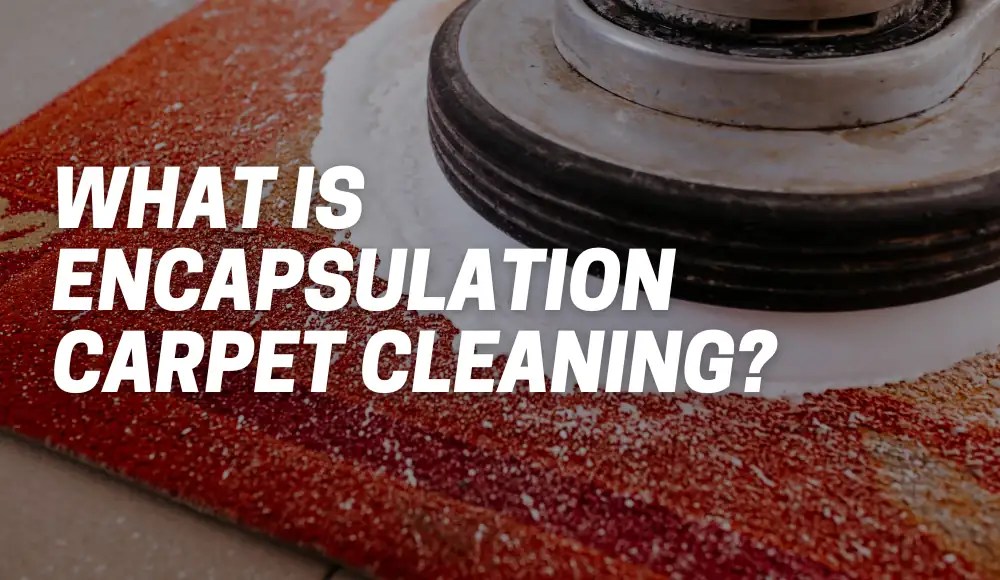What Is Encapsulation Carpet Cleaning? [Explained] CarpetsMatter