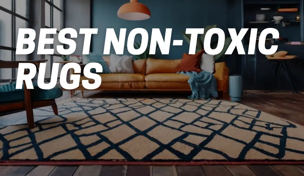 Best NonToxic Rugs [A Healthier Choice for Your Home] CarpetsMatter