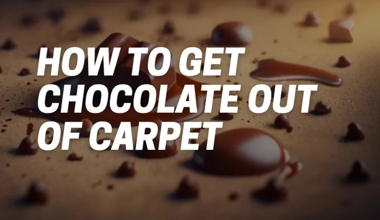 How To Get Chocolate Out of Carpet [FAQ Answers] - CarpetsMatter