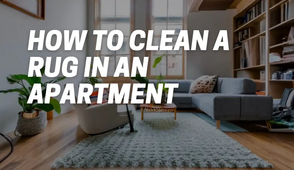 How to Clean a Rug in an Apartment [101 Guide] CarpetsMatter
