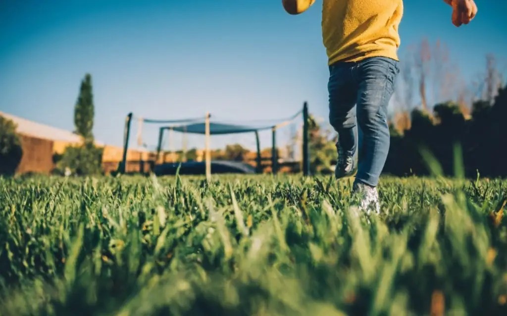 How To Cut Grass Under Trampoline By Hand? [Explained] CarpetsMatter