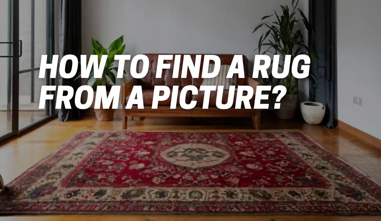 How To Find a Rug From a Picture? [The Identification] CarpetsMatter