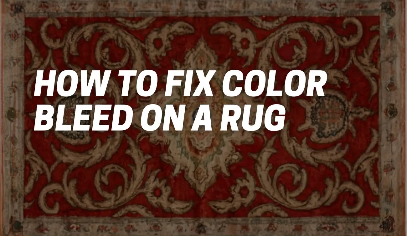 How to Fix Color Bleed on a Rug [101 FAQ] CarpetsMatter