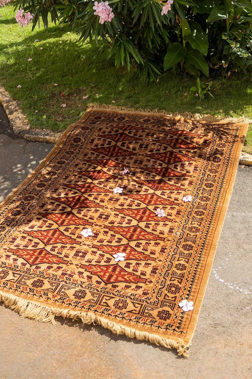 4 by 6 oriental handmade rug Made in India Ready inStock