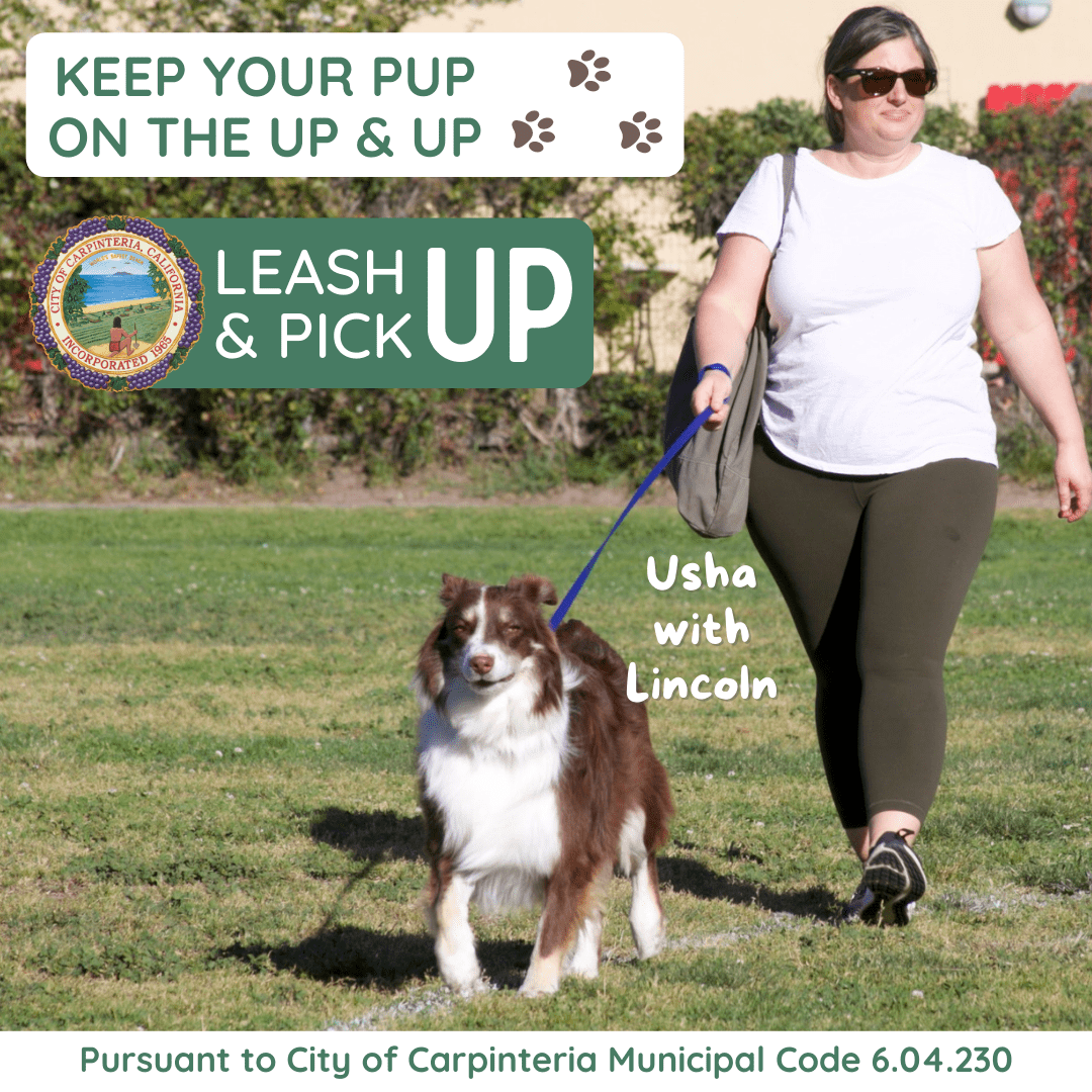 Leash Up & Pick Up City of Carpinteria