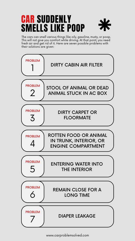 7 Causes of Cars Suddenly Smell Like Poop With Their Solutions!