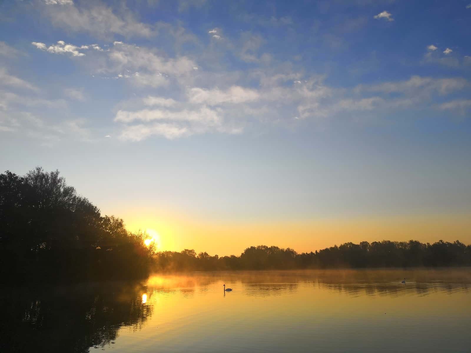 Carp Lakes Near Me Over 500 Day Ticket Lakes Carp Smart