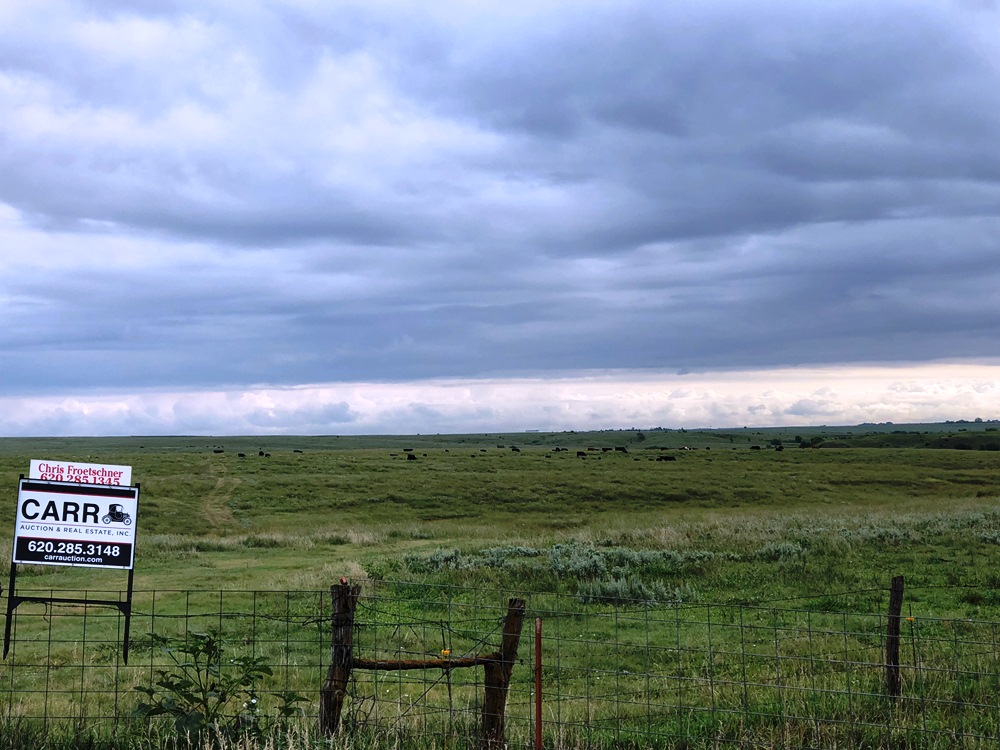 320 Acres Ellsworth County Pasture Carr Auction & Real Estate