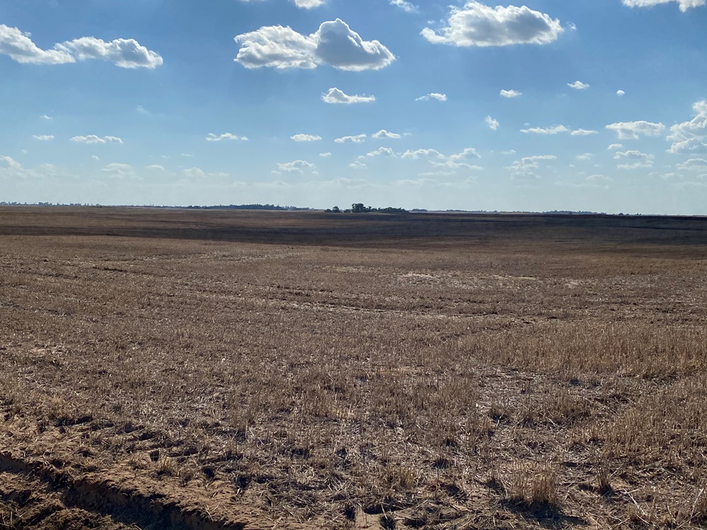 Pratt County Dryland 161 Acres Carr Auction & Real Estate