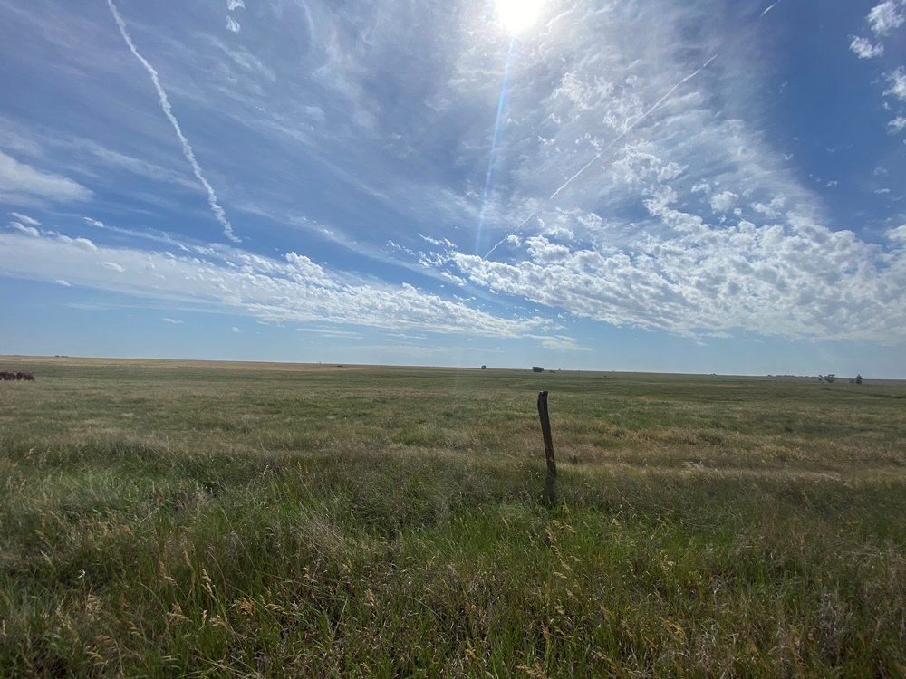 640 ACRES PAWNEE COUNTY LAND Carr Auction & Real Estate