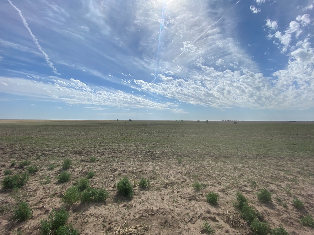 640 ACRES PAWNEE COUNTY LAND Carr Auction & Real Estate