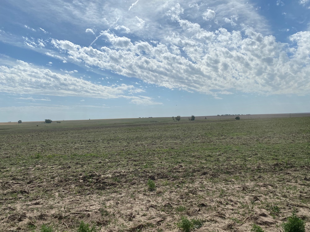 640 ACRES PAWNEE COUNTY LAND Carr Auction & Real Estate