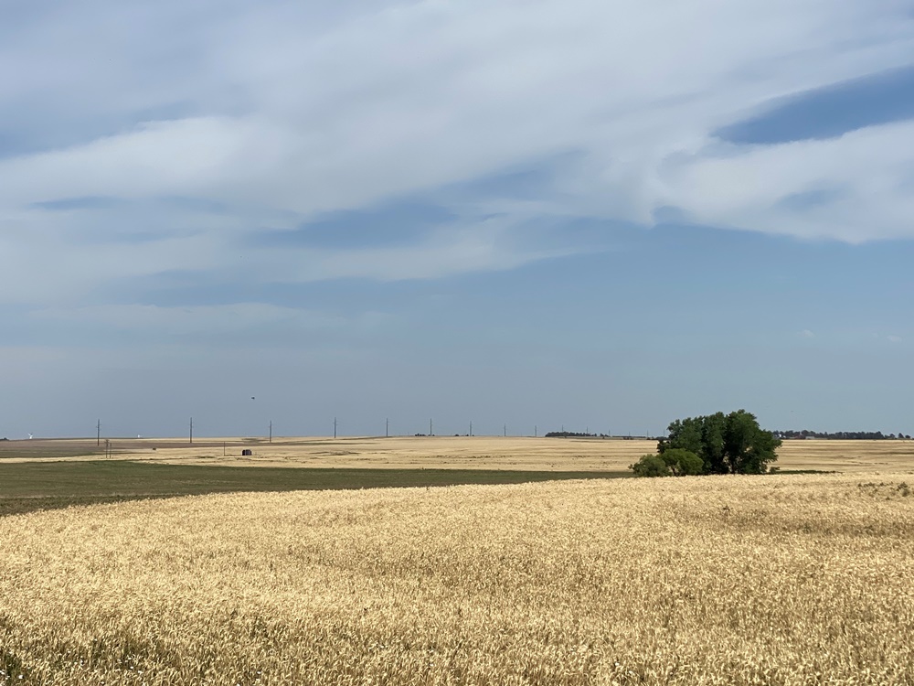 640 ACRES PAWNEE COUNTY LAND Carr Auction & Real Estate