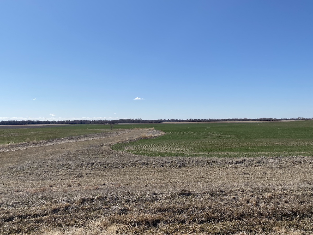 320 Acres (2 TRACTS) Pawnee County Dryland Carr Auction & Real Estate