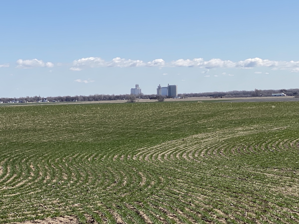 320 Acres (2 TRACTS) Pawnee County Dryland Carr Auction & Real Estate